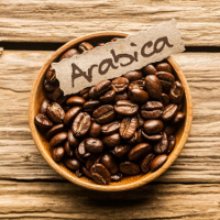 Arabica Coorg Coffee