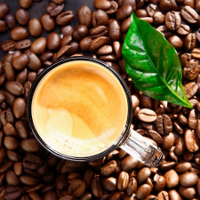 Arobusta Coorg Coffee