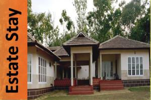 estatestay